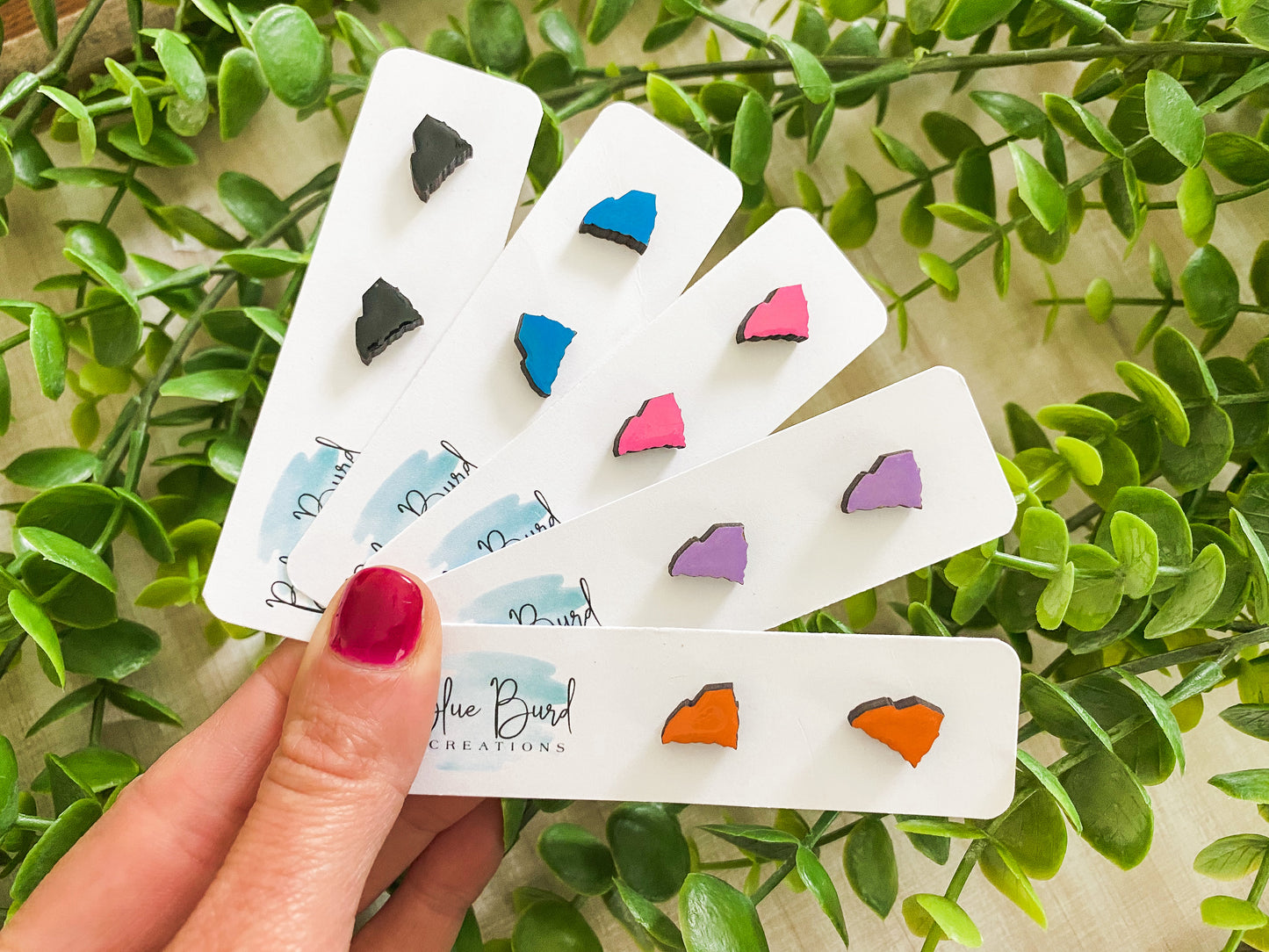 South Carolina Studs