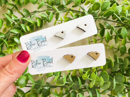 South Carolina Studs