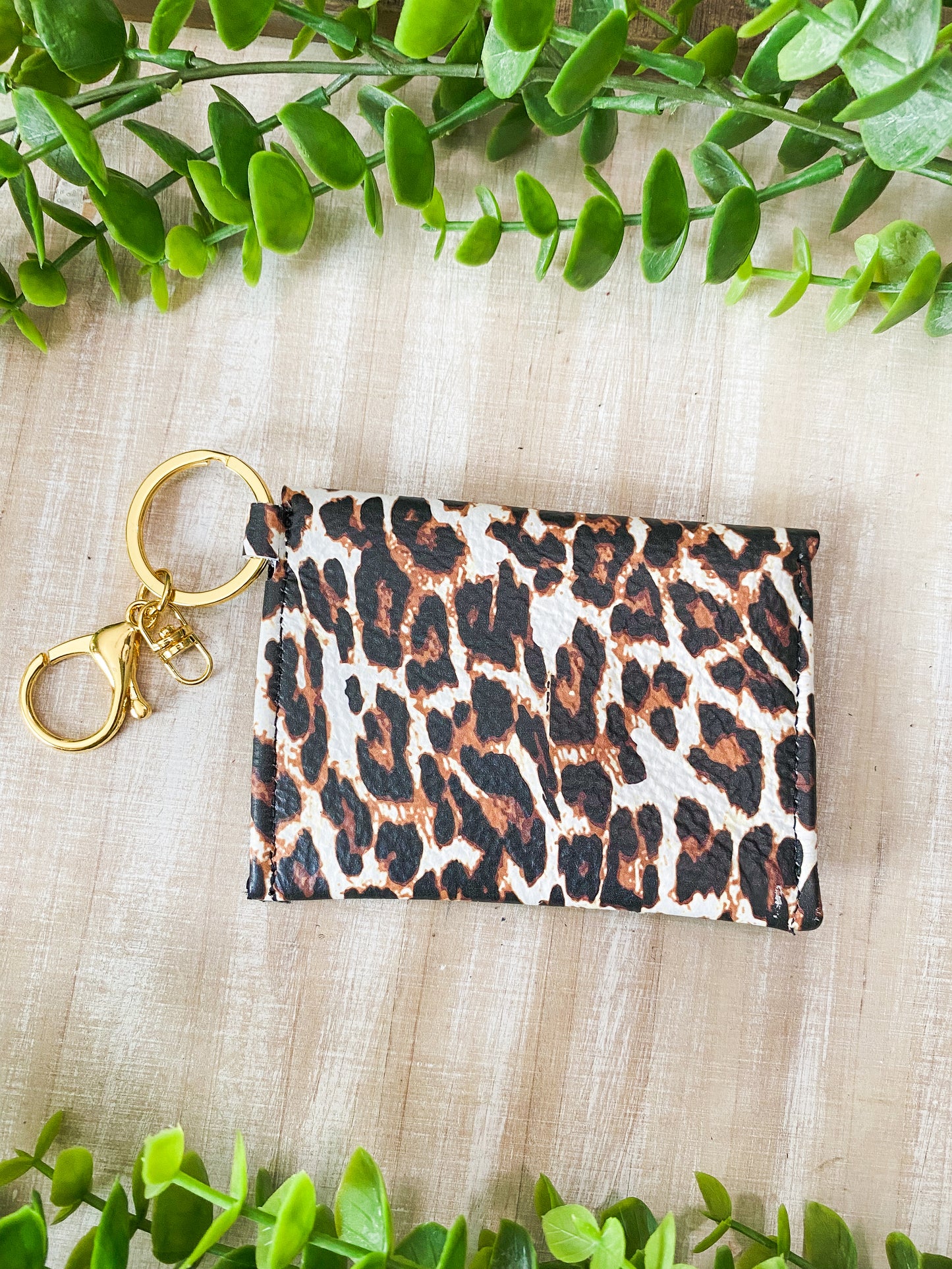 Leopard on Black