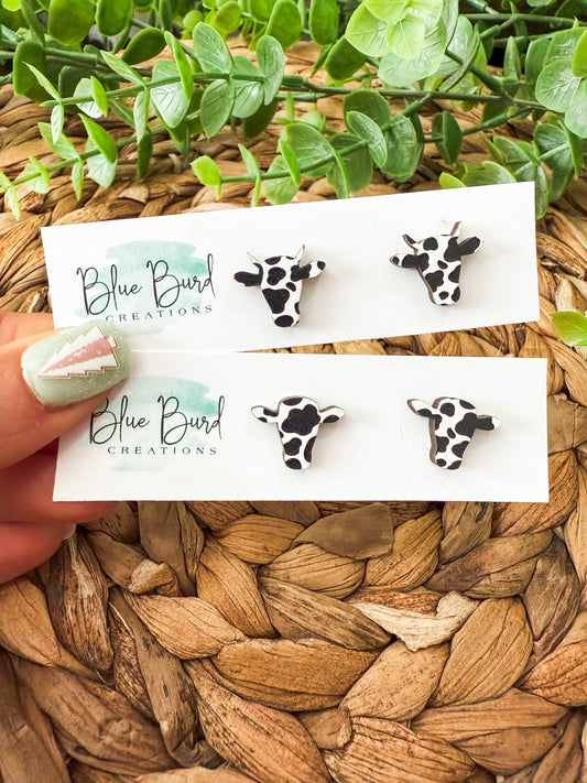 Bull & Cow Studs
